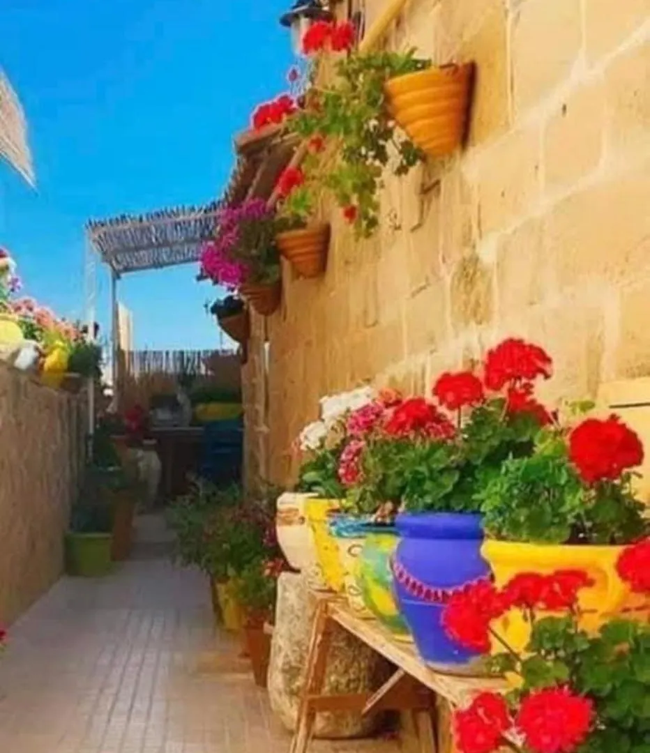 Apartmán Appartamento A 100Mt Dal Mare Reitani
